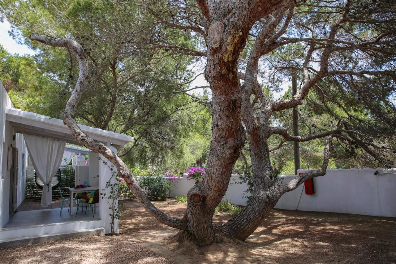 Aparthotel La Hacienda Sant Ferran de Ses Roques Exterior foto